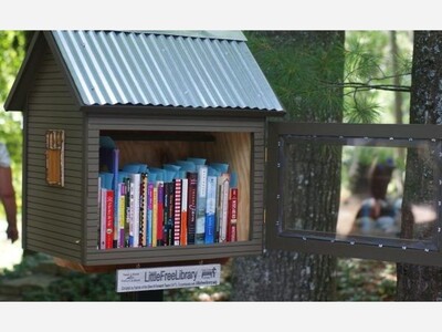 Oak Park Investigates Free Little Library Vandalism